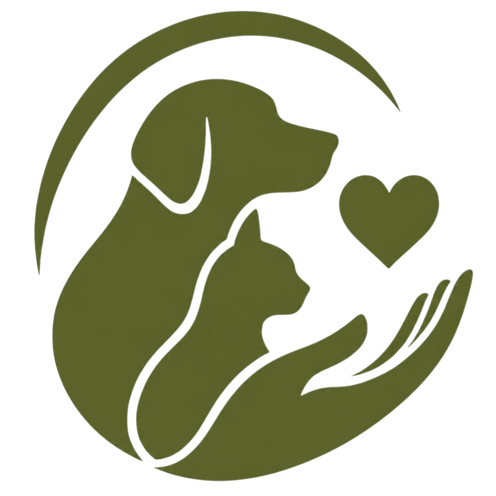 aniva logo green transparent